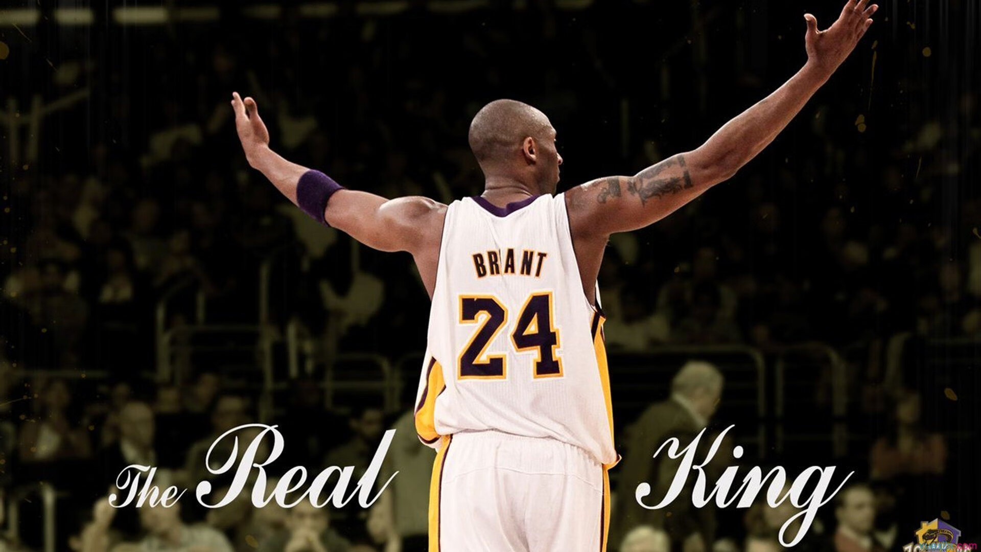 开云·体育全站登录地址-澳大利亚橄榄球赛事吸引更多全球品牌投资，市场潜力无限，澳大利亚橄榄球队