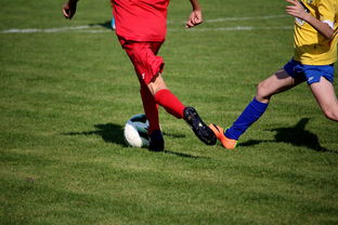 KAIYUN 中国大陆-马刺在球员宿舍设置阅读空间鼓励学习，马刺的球馆